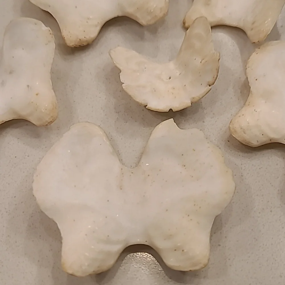 Butterfly 🦋 Shaped Craft Shells